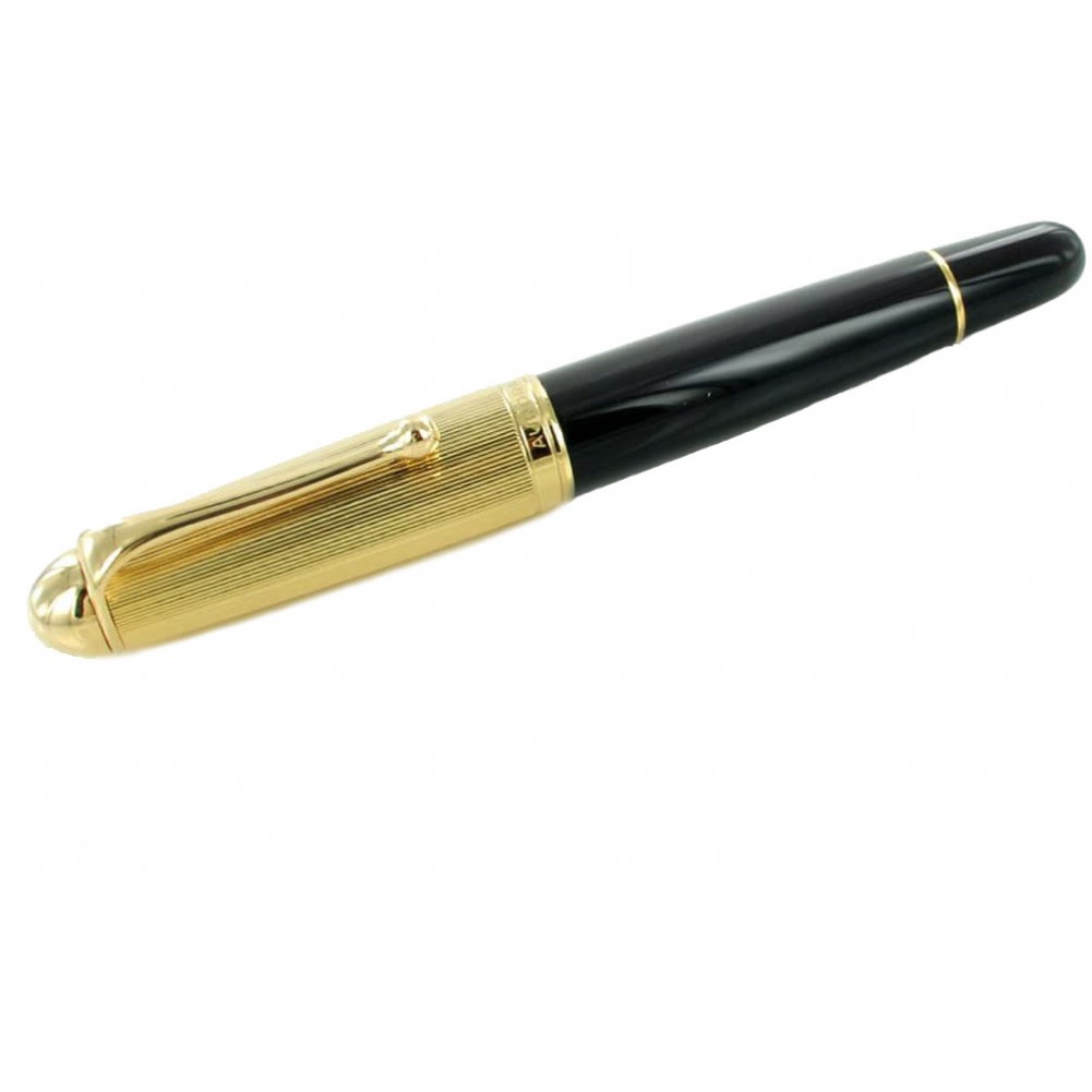 aurora fountain pen